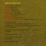 Play Birds - Social Beats Records