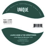 Move No Mountains - 110% Draaikolk RMX - Laura Vane & The Vipertones