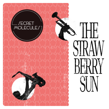 The Strawberry Sun - digital EP