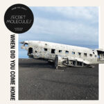 When did you come home - Secret Molecules