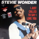 Stevie Wonder - I Just Called To Say I Love You by Used